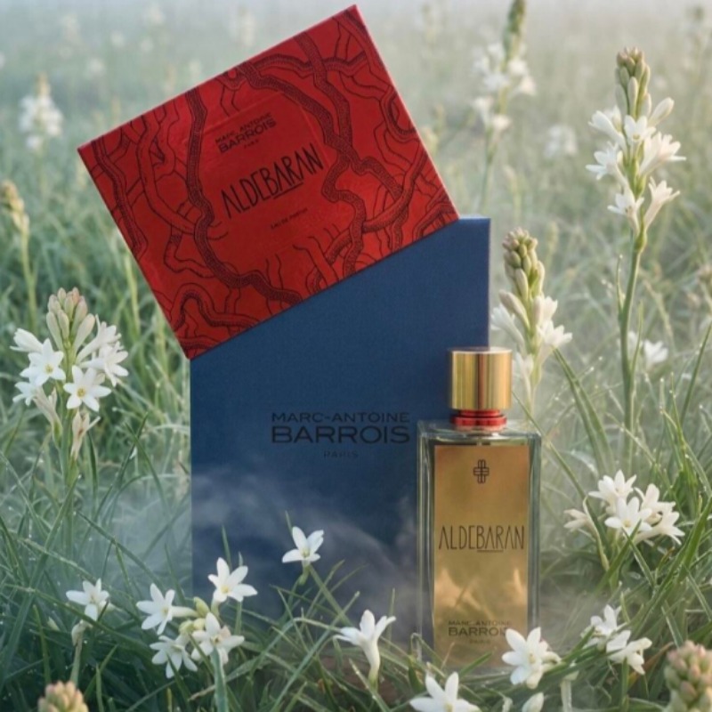 유니섹스 스파이시 우디 향수, 따뜻하고 강렬하며 매혹적 - Perfume Fragrance Intense 리뷰 및 가격