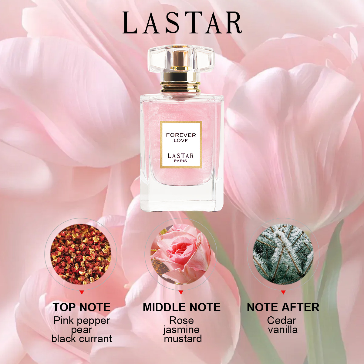 새해/크리스마스 선물, 라스타 여성용 향수, 1.86F - On Perfume & Fragrance Kota Bogor 리뷰 및 가격