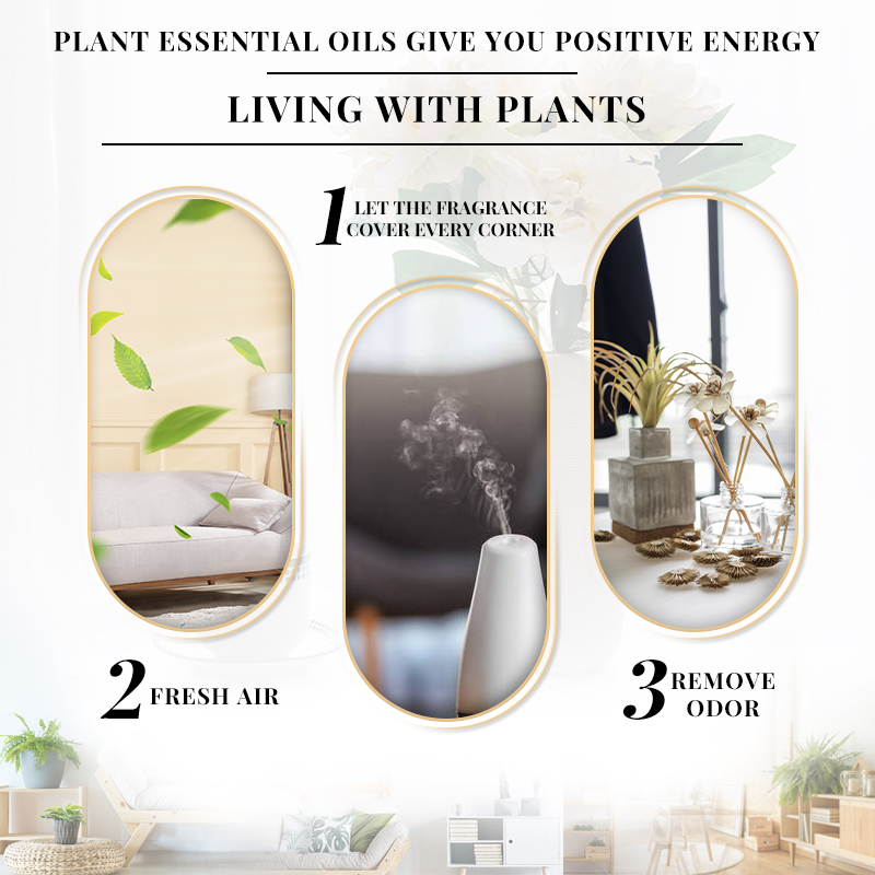 EVOKE 자스민 향수 100ml 에센셜 오일 실내 향 - Perfume Fragrance Enhancer 리뷰 및 가격